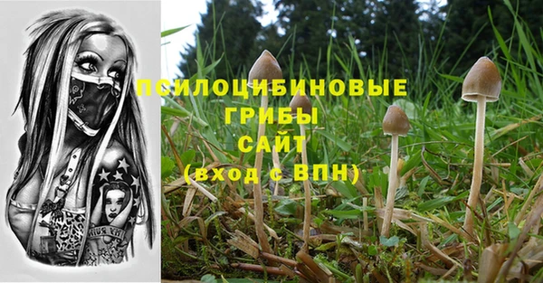 винт Заволжье