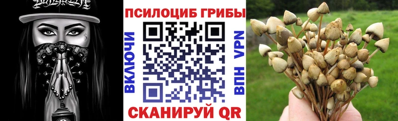 Псилоцибиновые грибы мицелий  Купить где  Кимры 